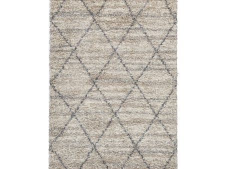 Signature Design by Ashley Abdalah R404621 Large Rug Fashion